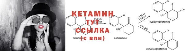 дмт Арсеньев