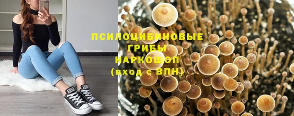 прущие крисы Алексин
