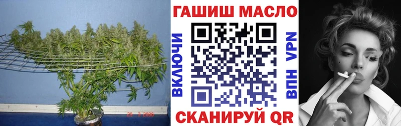 ТГК вейп Кологрив