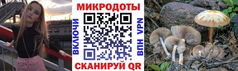 сколько стоит Кологрив KRAKEN зеркало Галлюциногенные грибы прущие грибы